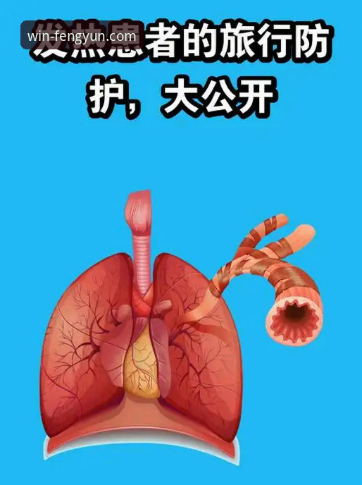 从恒大足球兴衰看体育商业风险：一份实用观察指南